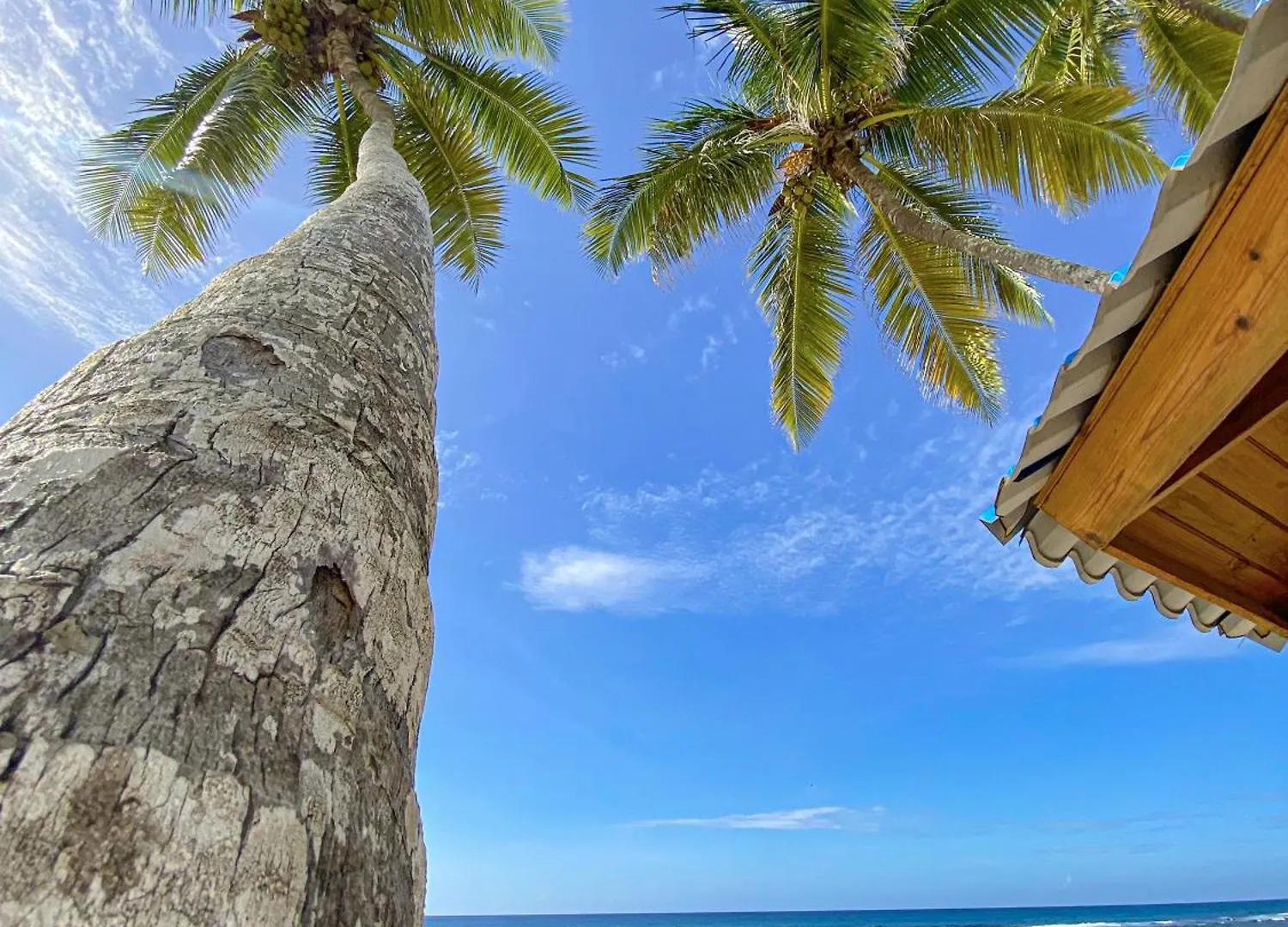 Xeliter Las Olas Juan Dolio Guayacanes 0*,