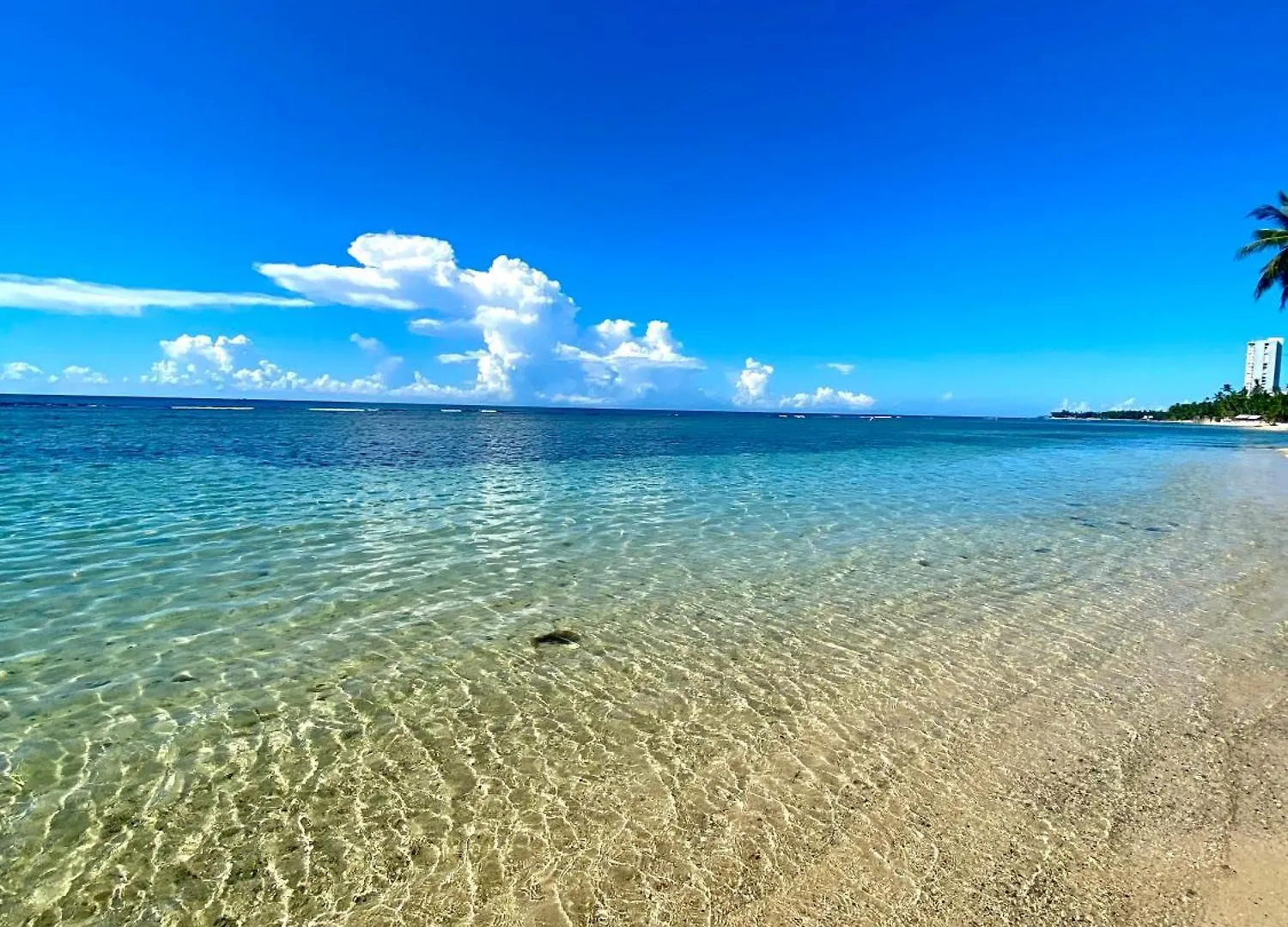 Xeliter Las Olas Juan Dolio Guayacanes